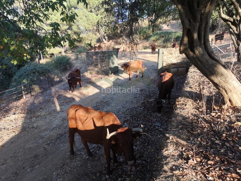 Foto 61a70a21-ee4f-4bb7-93a9-26a3c2dbf149. Masia a Gaucín