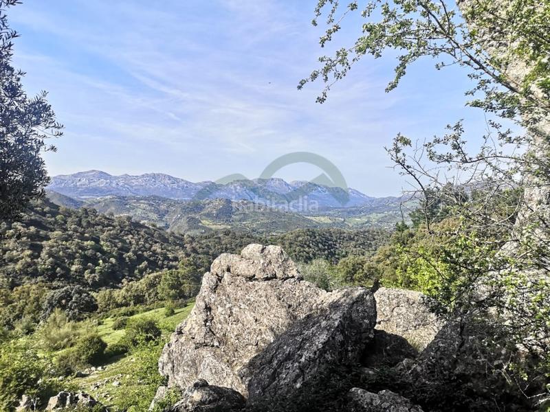 Foto 7ccc64bd-c2d4-4013-bda8-dfc248185ae7. Masia a Gaucín