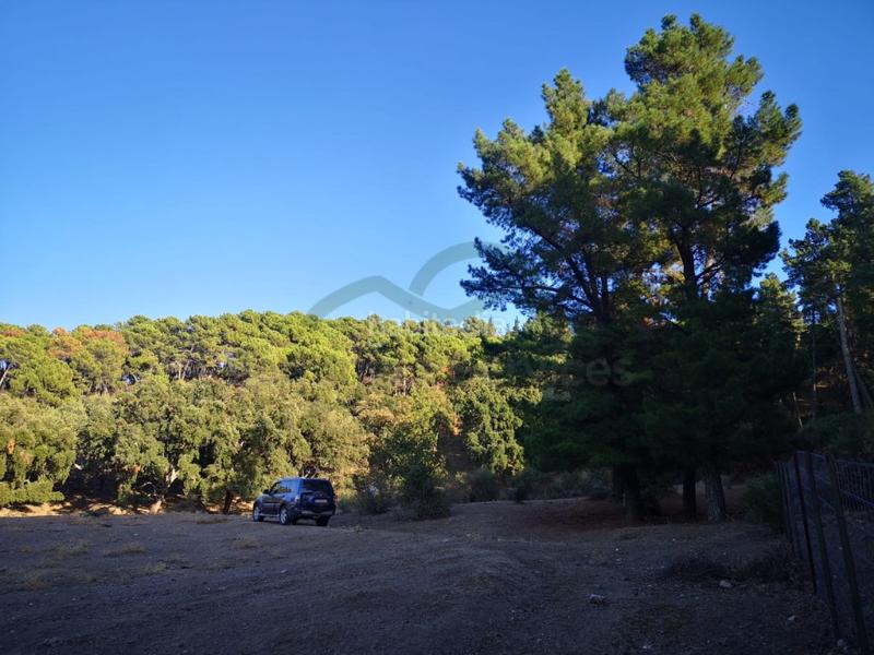 Foto 8c0a1acf-ec9c-4b57-a2df-47983f512796. Masia a Gaucín