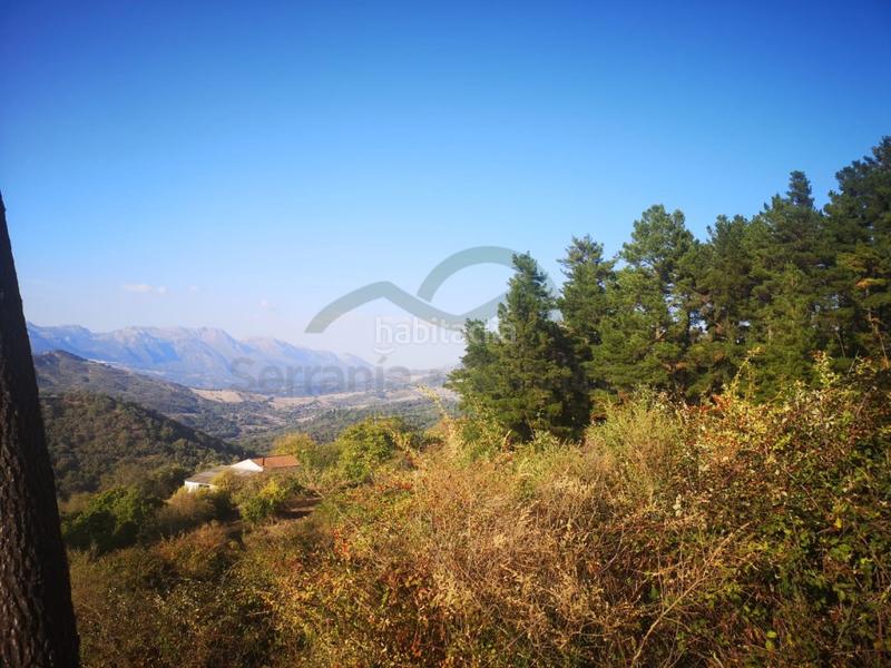 Foto 93f218e1-1249-4b47-bd2c-0da2fd0e2283. Masia a Gaucín