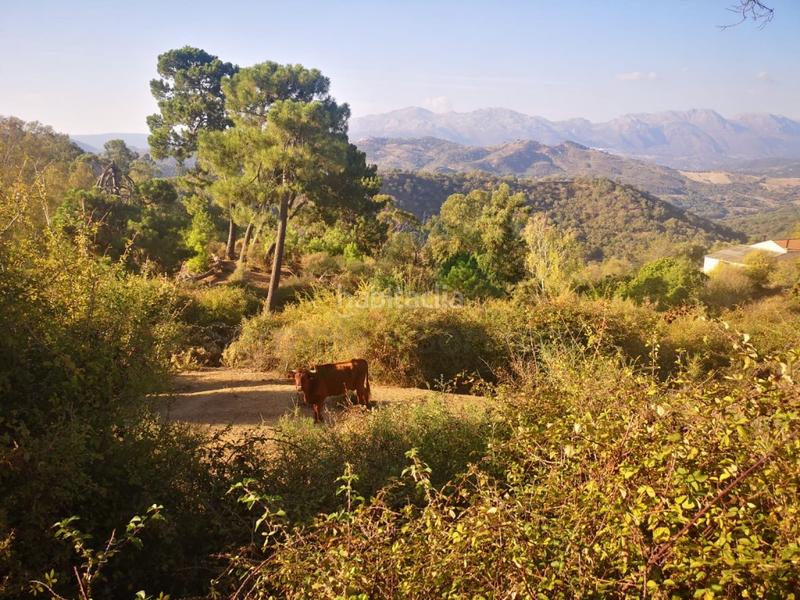 Foto 9b35fa5e-ef24-4fff-910b-ecb1c71c35dc. Masia a Gaucín