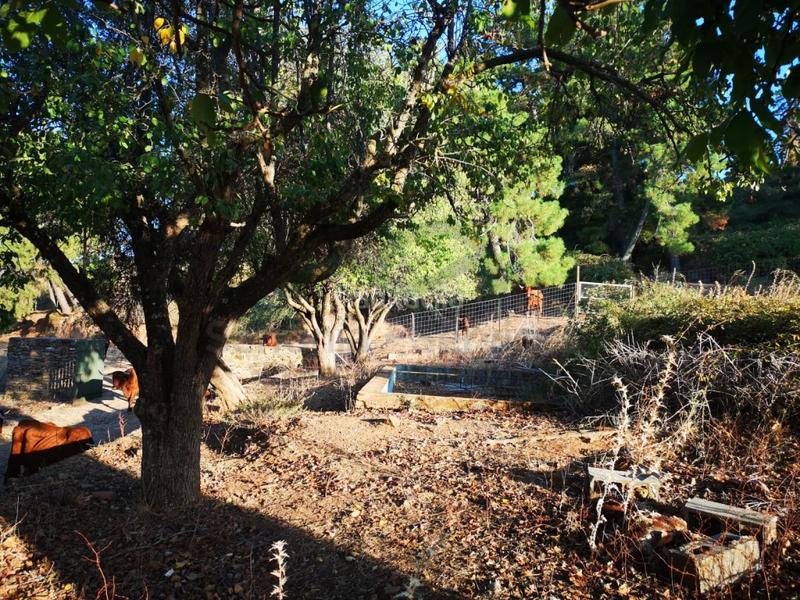 Foto bc8356f2-904f-4126-9fe4-e6978aa3abfb. Masia a Gaucín