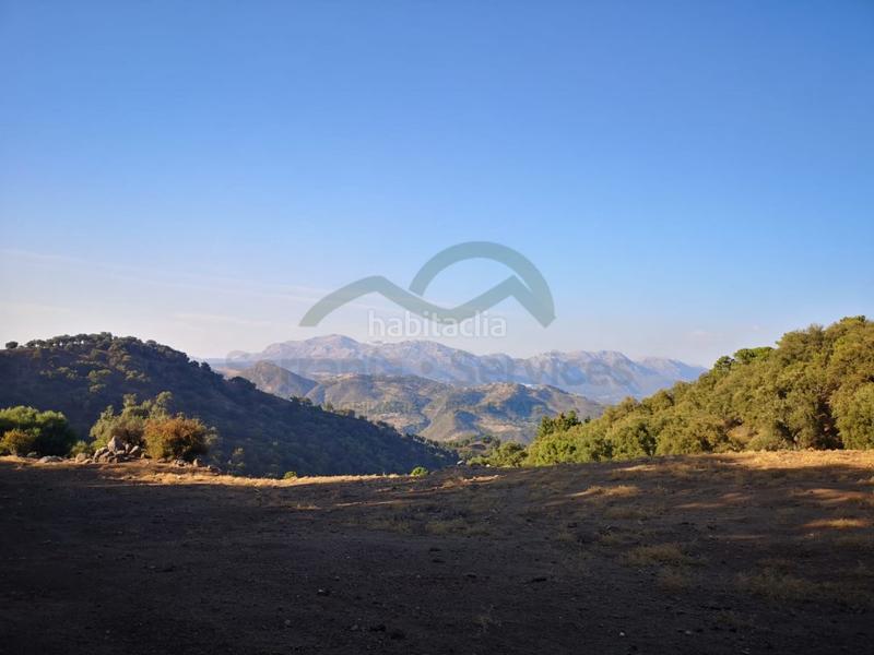 Foto bda49c42-e1b0-4557-87bb-abe1f004e92f. Masia a Gaucín