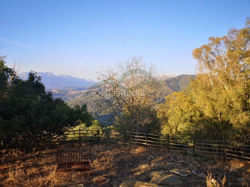 Foto ca336116-f2e9-4e4a-9cf4-4e0cc8ea389a. Masia a Gaucín