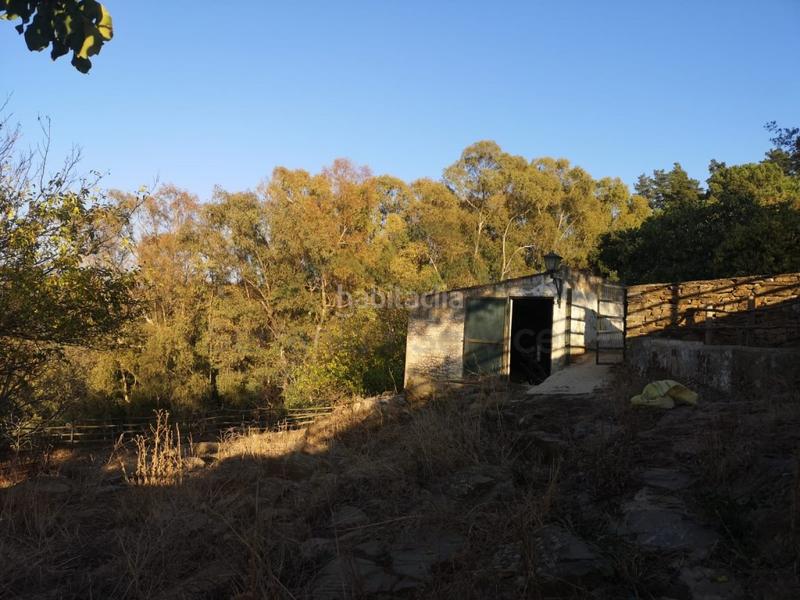 Foto e12201e3-d6ab-4cb2-b405-5fd7fbe9abab. Masia a Gaucín