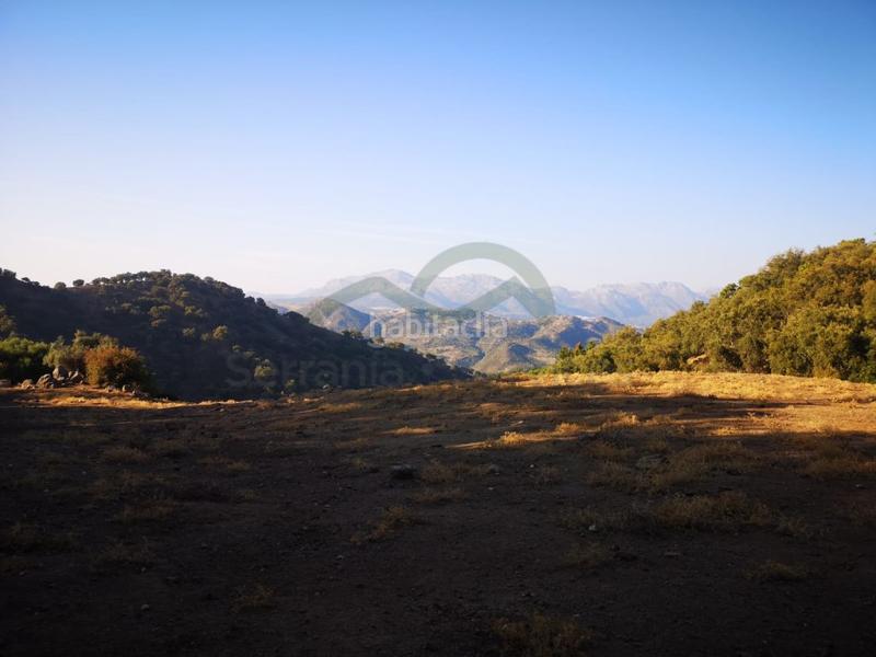 Foto f0bb7d82-c107-4423-a2b6-0ddc73fba79f. Masia a Gaucín