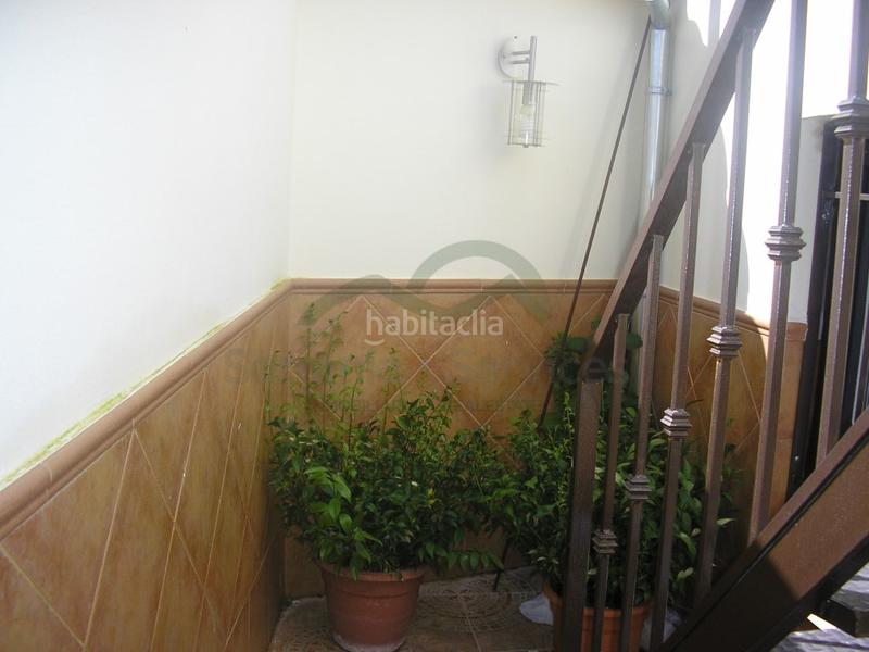 Foto 79dc7903-e231-4cb6-b815-ee2f18ae894f. Mas dans Cañete la Real