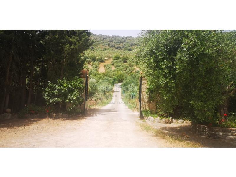 Foto b6429fa7-405a-4d59-8457-378edba37ab8. Masía finca rústica con piscina en Zahara