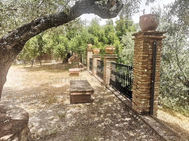 Foto f8e31dee-cc5a-4bde-be63-7302db4428a6. Masía finca rústica con piscina en Zahara