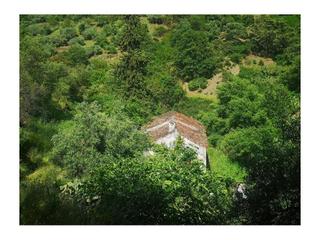 Masia a Jubrique. Finca antiguo molino 200 m2 construidos 5.2 hectáreas de terreno
