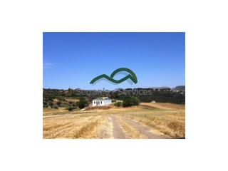 Casa a Casco Histórico. Finca la germana, casa restaurada, 15000m2 terreno