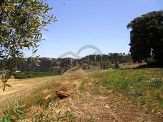 Haus in La Ciudad. Finca la germana, casa restaurada, 15000m2 terreno