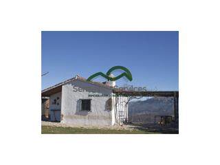 Casa a Cortes de la Frontera. Finca 39 has. 3 edificaciones. dehesatierra labor