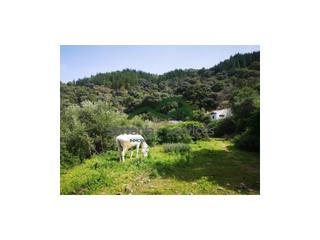 Masia a Jubrique. Finca agrícola con casa a reformar, piscina, pozo, 6 naves agríc