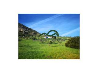 Masia a Gastor (El). Finca 3,2 has, nave 99m2, olivos, vistas