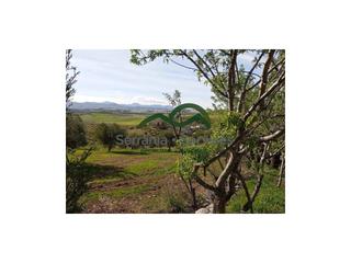 Masía en Partidas Norte. Finca de secano con 300 olivos, huerto y casita de aperos