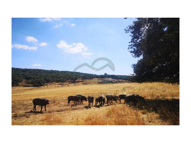 Foto 0dce0500-a167-45a5-a610-4fd1f2028c7c. Masia a San Rafael Ronda