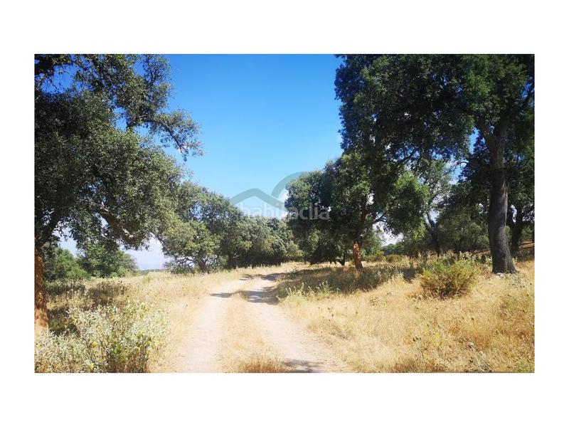 Foto 35859dd3-d950-4ded-a977-8ee1c9233bf0. Masia a San Rafael Ronda