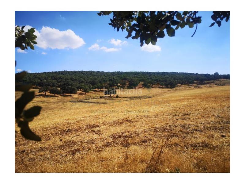 Foto 78dd29cc-8b0b-4489-bf72-2c9b6eda5c10. Masia a San Rafael Ronda