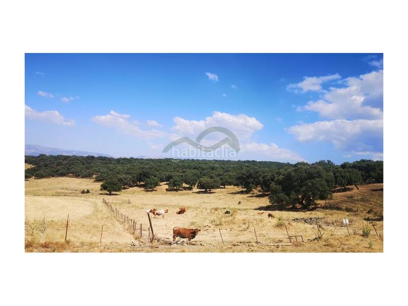 Foto aa7f7f27-7f27-4722-81e4-1423d01e5706. Masia a San Rafael Ronda