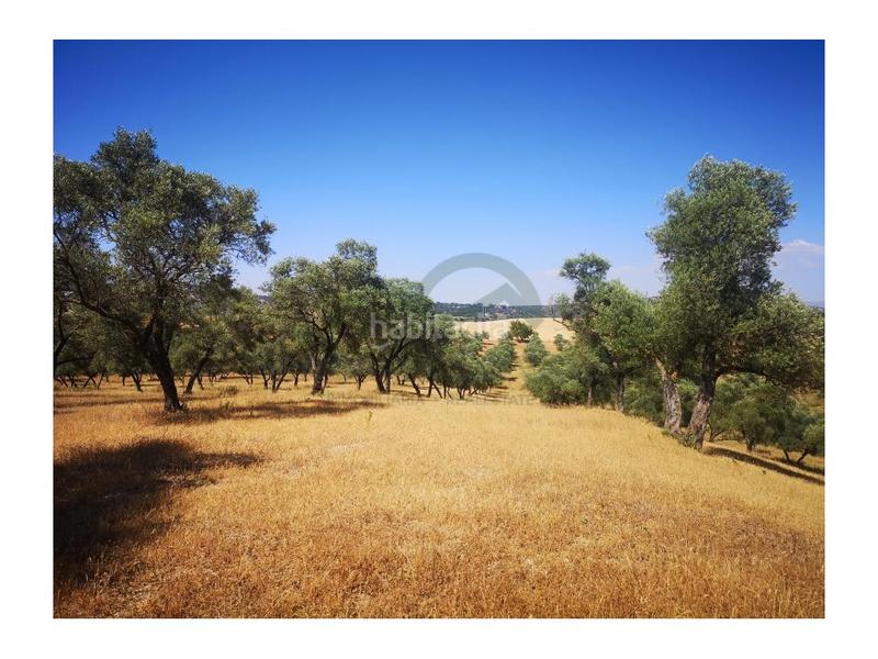 Foto ad767c00-8c42-424d-9b7a-cce5791ee446. Masia a San Rafael Ronda