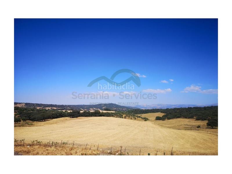 Foto da6e1e4b-2d83-41a7-b541-03c99ad97835. Masia a San Rafael Ronda