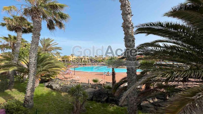 Foto 3b2b4452-caf7-497d-9db5-b9cfa966913e. Àtic a Corralejo Oliva (La)