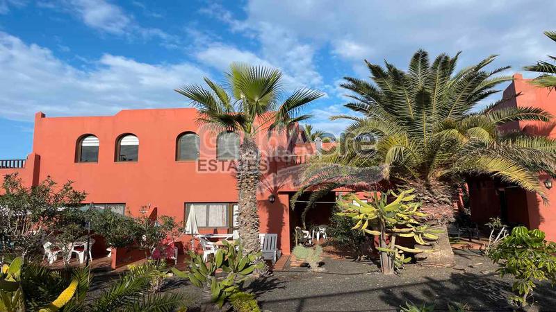 Foto d656c77a-8239-41f8-901d-808a4f7cce85. Àtic a Corralejo Oliva (La)