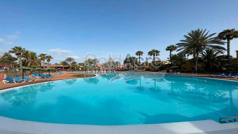 Foto 0cd15c43-2c2e-41ed-9139-6dcdb726b1e8. Attico in Corralejo Oliva (La)