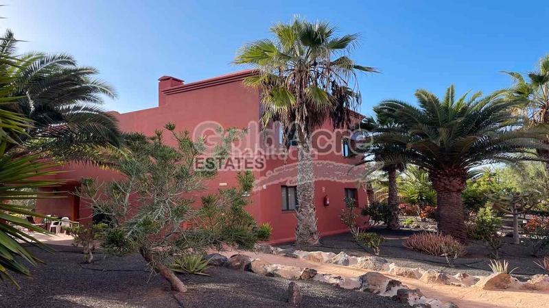 Foto c69fd7ae-8b3c-46a4-aef7-7105008937e9. Attico in Corralejo Oliva (La)