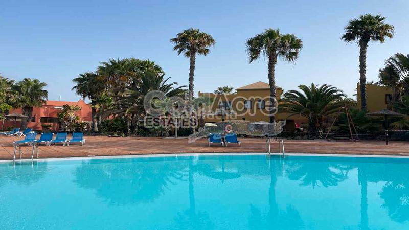 Foto f90053b4-3924-46f2-b8b9-efaf208db6f2. Attico in Corralejo Oliva (La)
