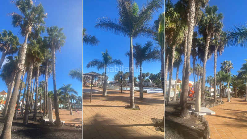 Foto 11893ae8-4151-47cc-956c-539d718c4450. Apartamento en Corralejo Oliva (La)