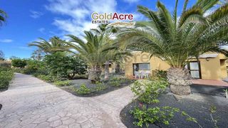 Lloguer Apartament a Corralejo