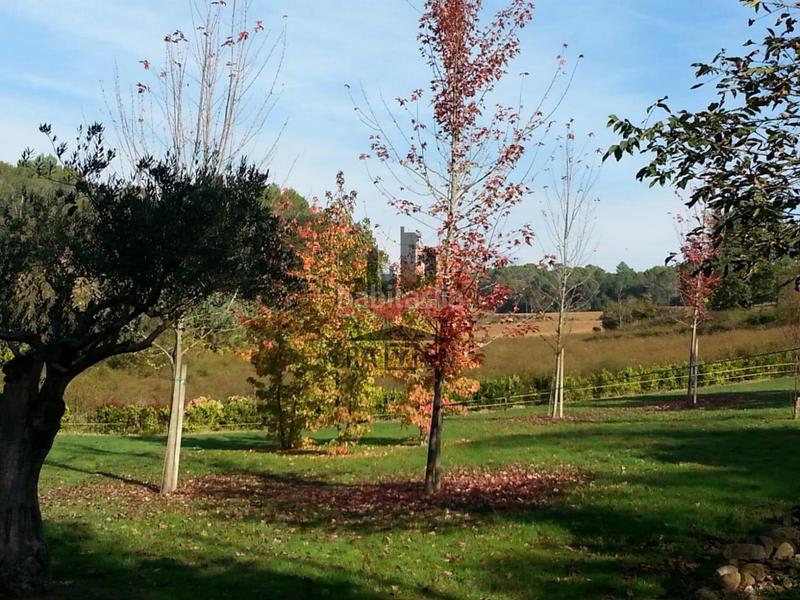 Foto 6226aee2-7ec4-4711-a581-2a46ce0a1a50. Masía vive la esencia del campo catalán en una masía única naturaleza, historia y confort en perfecta armonía. en Cabanelles