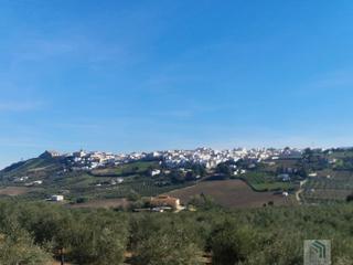 Terreny residencial a Montilla. Montillaterreno