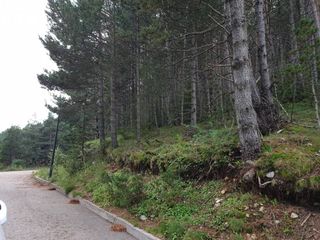 Wohngrundstück in Coma i la Pedra (La). " terreno en venta en la coma."