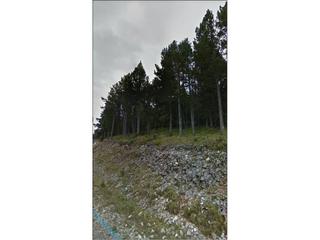 Terreno residencial en Coma i la Pedra (La). Terreno en venta en la coma.