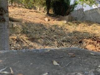 Finca rústica a Castellnou-Can Mir-Can Solà. Terreno en venta en sant muçcastellnoucan mir.