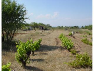 Finca rústica a Rasquera. Finca rustica en venta en rasquera.