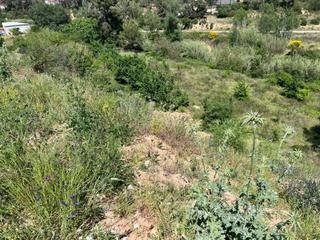 Terrain résidentiel à Ca n´Alzamora. Terreno en venta en les torresca nalzamora.