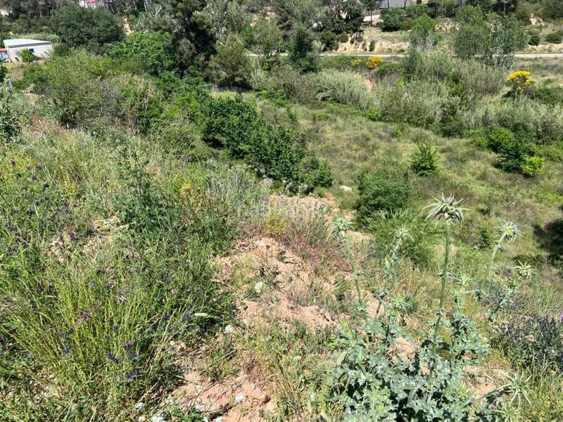 Foto 8edb22ad-cd1a-41a9-8584-dc23e2b84546. Terreno residenziale in Ca n´Alzamora Rubí