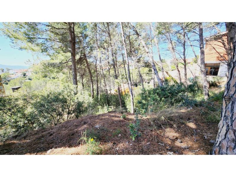 Foto 3b389b9d-7446-4fc0-a24d-66c62a8e80c2. Terreny residencial a Castellnou-Can Mir-Can Solà Rubí