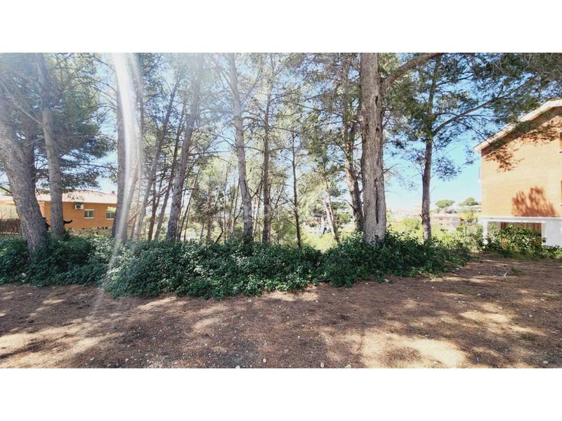 Foto bf687781-73d0-4dc2-a7c3-71e2892da3d0. Terreny residencial a Castellnou-Can Mir-Can Solà Rubí