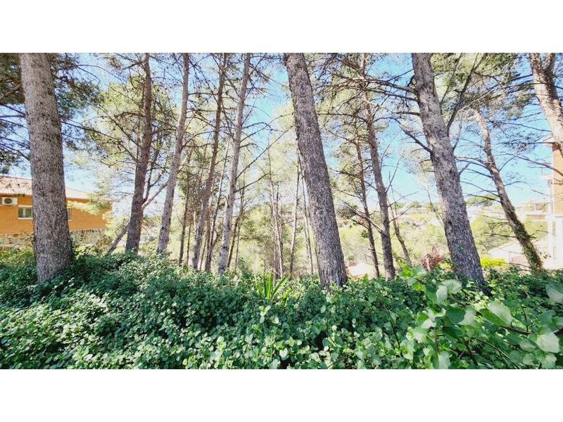 Foto ef0732d7-f9c9-4b97-b641-4b84e30f254b. Terreny residencial a Castellnou-Can Mir-Can Solà Rubí