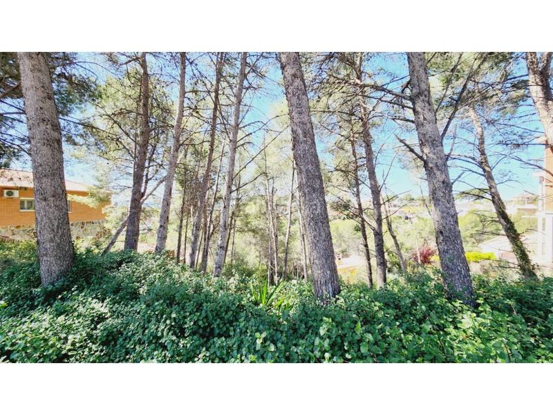 Foto ef60c521-9ddf-4277-8e00-a79cd74865d0. Terreny residencial a Castellnou-Can Mir-Can Solà Rubí
