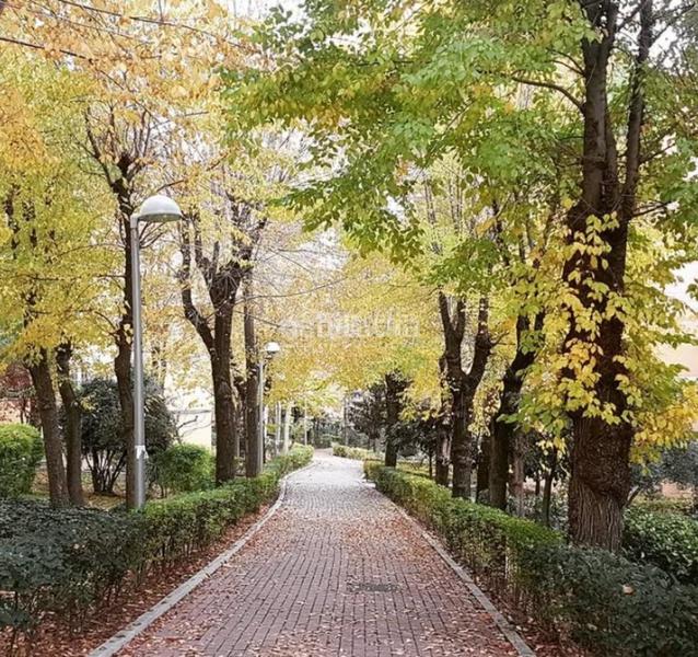 Foto 650fdd3e-397e-417e-a9d0-f0ce9be25679. Alquiler piso  en alquiler en Salvador Madrid