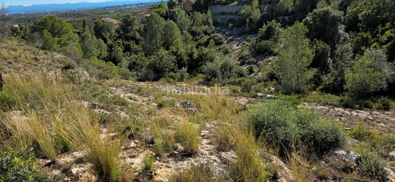 Foto 0fea2aff-ab15-4454-af1d-7545f0bdde04. Terreno residenziale in calle c/2 lloma molina 31 in Catadau