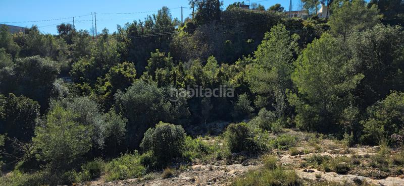 Foto 110d1844-55e7-429c-88af-4df0a33daf71. Terreno residenziale in calle c/2 lloma molina 31 in Catadau