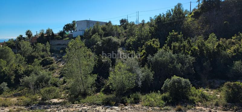 Foto 17d0b746-5dfe-4821-b22c-19920147e342. Terreno residenziale in calle c/2 lloma molina 31 in Catadau