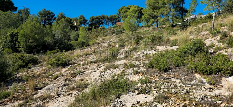 Foto 2e33fd44-d118-4c0e-8e95-7cf5384ae4d2. Terreno residenziale in calle c/2 lloma molina 31 in Catadau